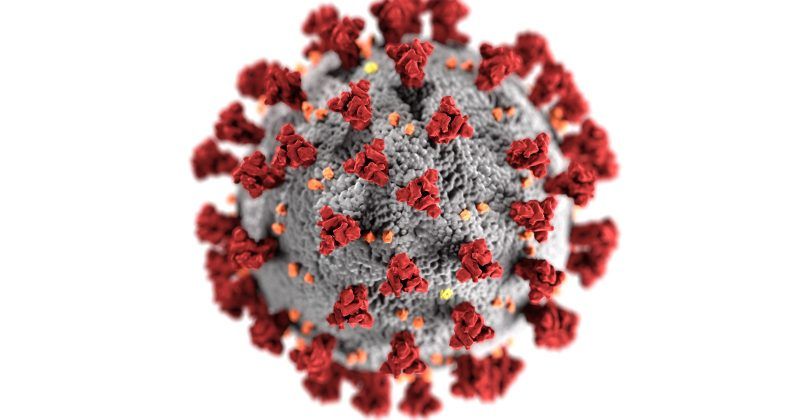 Coronavirus: Calls to shut down ‘dirty fur trade’