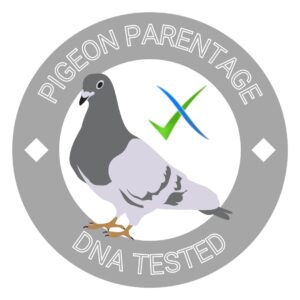 Pigeon Parentage DNA Test