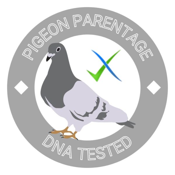 Pigeon Parentage DNA Test