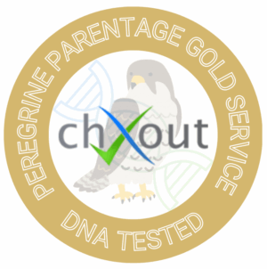 Peregrine Falcon Parentage Gold