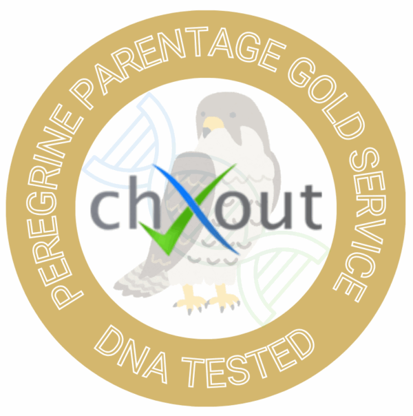 Peregrine Falcon Parentage Gold Service