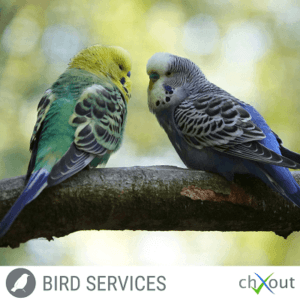 Bird (Avian) Services