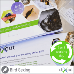 bird dna testing