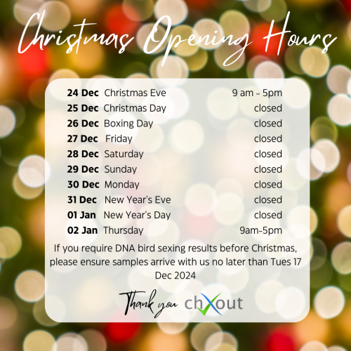 chXout Opening Hours & note